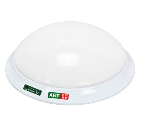 艺光消防应急吸顶灯-2G-3W/6W/9W